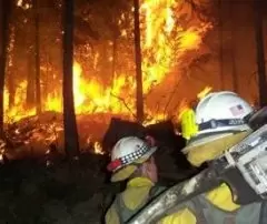 USFWS_wildfire_fighters_fws.gov